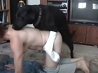 Bored housewife banged by a big dog