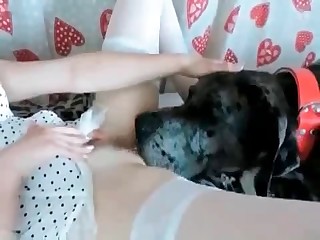 Masked brunette fucking a doggy on a bed