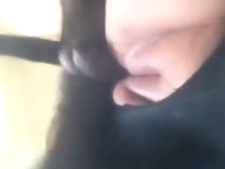 Zoo porn dealing with hot-ass licking and such