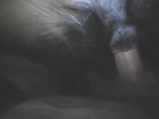 Impressive close-up dog action with a hot dude