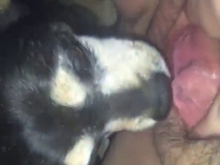 First-ever licking session with a sexy animal