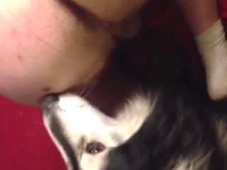 Dude is going to let that dog eat his asshole