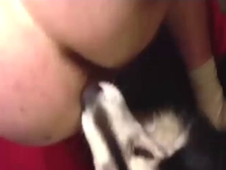 Dude is going to let that dog eat his asshole