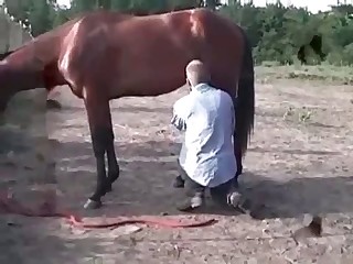 Gay dude pleasures a horse's cock outdoors