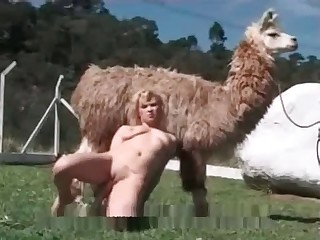 Naked blonde tries to seduce an alpaca
