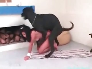 Black dog mounting its brunette owner